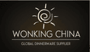 Henan Wosheng Import and Export Trading Co., Ltd.