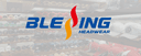 SHENZHEN BLESSING CAP CO.,LTD