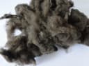Tibet Nuozone Cashmere Co., Ltd.