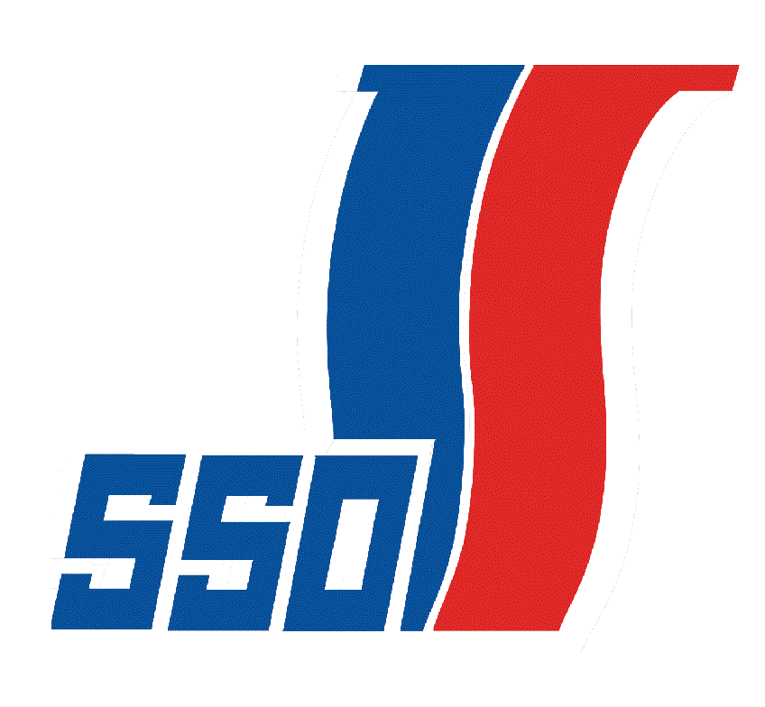 Guangdong Nanyou Economic Development Co., Ltd.