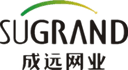 Hefei  Grand Nets Co.,Ltd