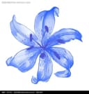 SHENYANG HAPPY DECO TRADING CO LTD