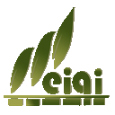Shenyang Meiqi Arts and Crafts Co.,Ltd.