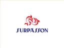 Jieyang Yuexing Industrial Co., Ltd.
