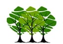 Heilongjiang Jiushun Trading Co., Ltd.