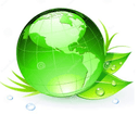 Dongning Shuangsheng Yuanda Food Co., Ltd.