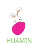 SAHN COUNTY HUAMIN ARTS CRAFTS CO.,LTD