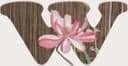 Harbin Huanliu Trading Co., Ltd.
