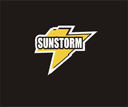 Hangzhou Sunshine Tools Co., Ltd.