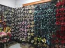 Xiajin Yongxin Handicraft Co., Ltd.