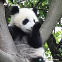 DALIAN MICROCOSMOS CO., LTD.