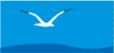 Weihai Yuexiang Import & Export Co., Ltd .