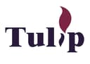 NANTONG TULIP INDUSTRIES LTD.