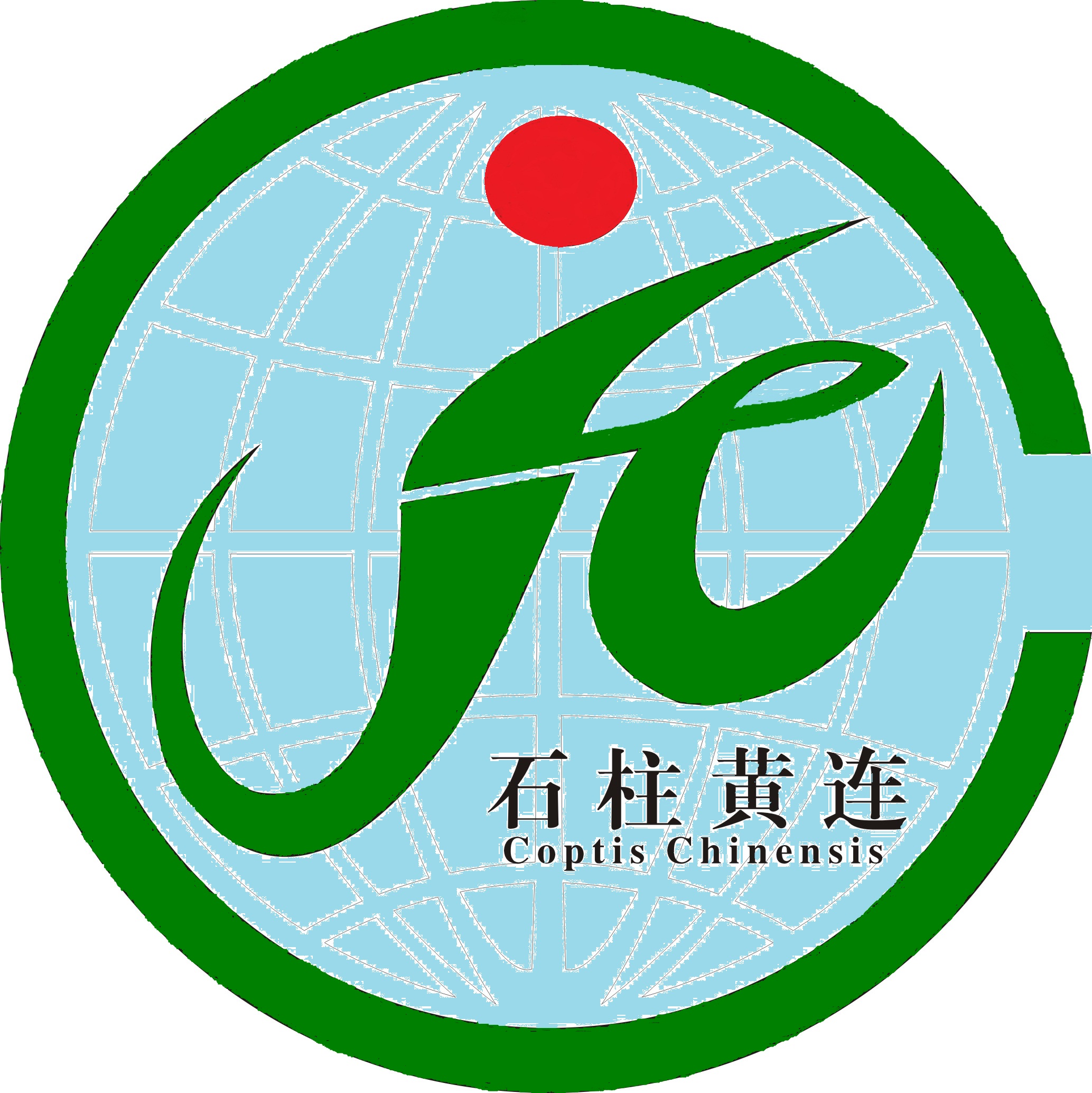 Chongqing Wanglong Coptis Technology Co., Ltd.