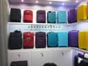 SHANGHAI FORTUNE IMPORT & EXPORT CO., LTD
