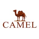 Guangzhou Killer Whale International Trading Co., Ltd.