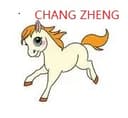 SHENZHEN CHANGZHENG INDUSTRIAL CO,LTD