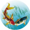CHAOHU ASIANEPS FISHING NET MANUFACTURING CO LTD