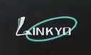 Ningbo Lingyou Import and Export Co., Ltd.