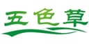 Renqiu Dingding Artificial Plants Factory