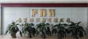 Fly N High Co., Ltd