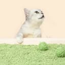 Zhaoyuan Tache Pet Supplies Co., Ltd.