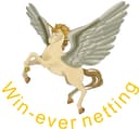 Shaoxing Hengwen Mesh Fabric Co., Ltd.