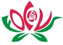 Yunnan Focus Flower Planting Co., LTD.