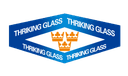 YANTAI THRIKING GLASS CO., LTD